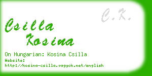 csilla kosina business card